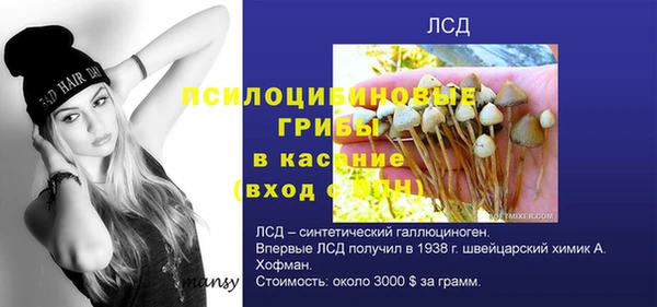 мескалин Инта