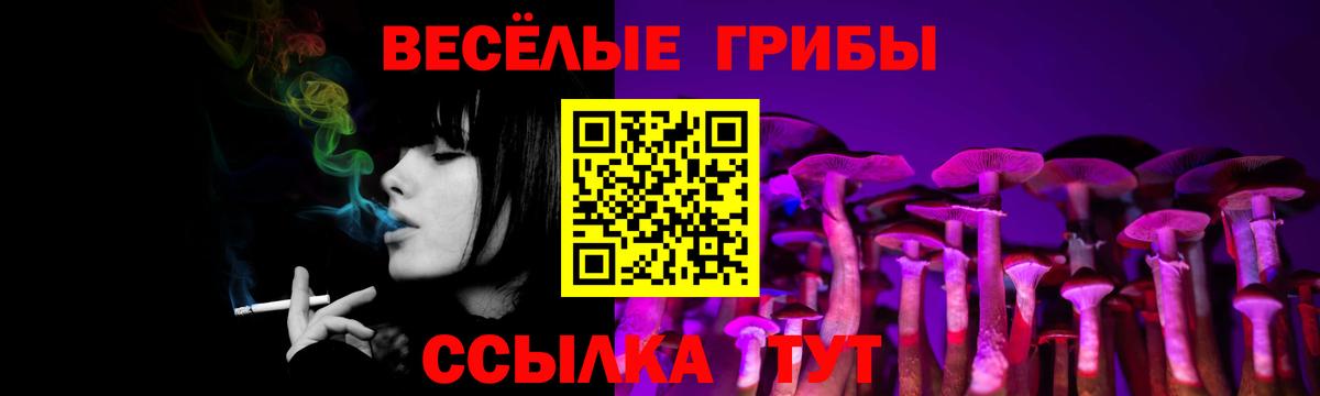 купить   Галлюциногенные грибы Psilocybe  Вход с VPN  Галлюциногенные грибы MAGIC MUSHROOMS  Славгород 