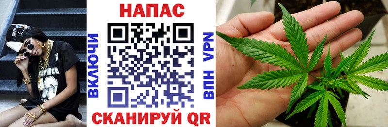 blacksprut рабочий сайт  Славгород  Бошки марихуана THC 21%  закладка 